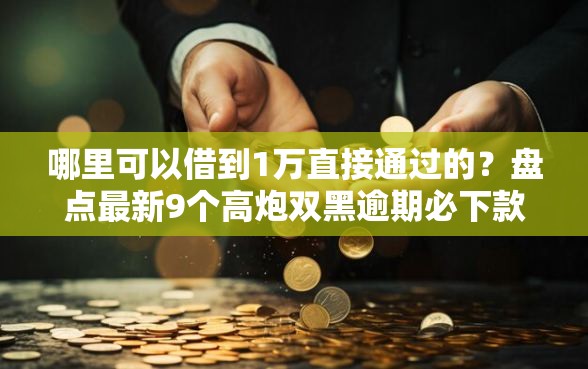 哪里可以借到1万直接通过的？盘点最新9个高炮双黑逾期必下款平台