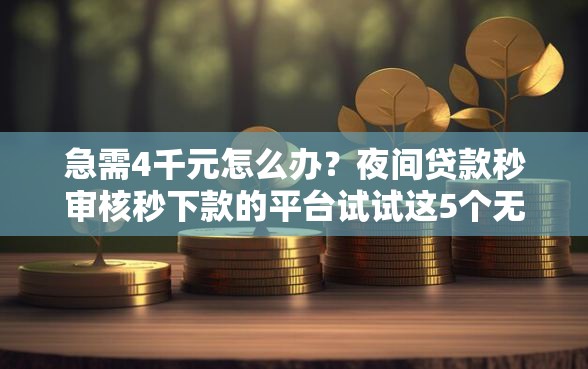 急需4千元怎么办？夜间贷款秒审核秒下款的平台试试这5个无门槛平台