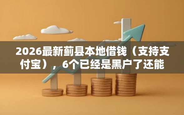 2026最新蓟县本地借钱（支持支付宝），6个已经是黑户了还能借到钱的软件无私分享