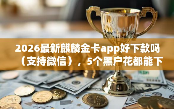 2026最新麒麟金卡app好下款吗（支持微信），5个黑户花都能下款的平台啊无私分享