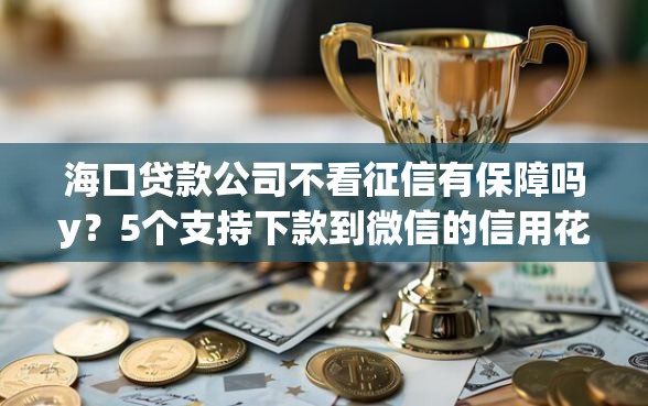 海口贷款公司不看征信有保障吗y？5个支持下款到微信的信用花了平台能借到钱