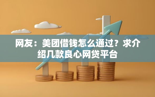 网友：美团借钱怎么通过？求介绍几款良心网贷平台