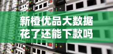 新橙优品大数据花了还能下款吗