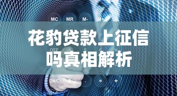 花豹贷款上征信吗真相解析