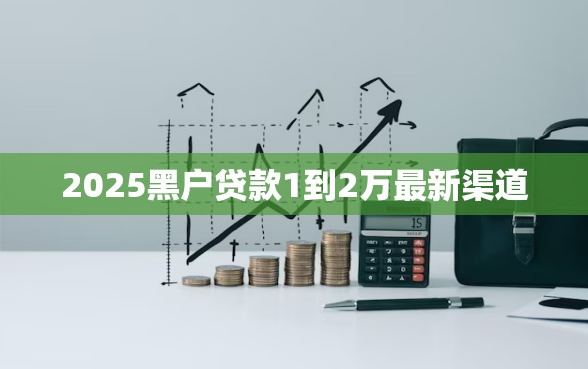 2025黑户贷款1到2万最新渠道