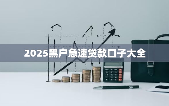 2025黑户急速贷款口子大全