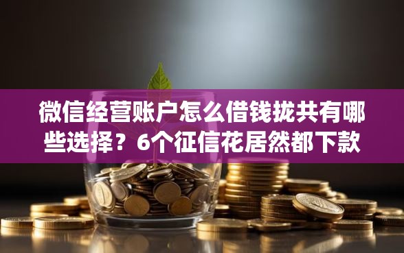 微信经营账户怎么借钱拢共有哪些选择？6个征信花居然都下款了的app详解
