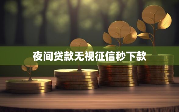 夜间贷款无视征信秒下款