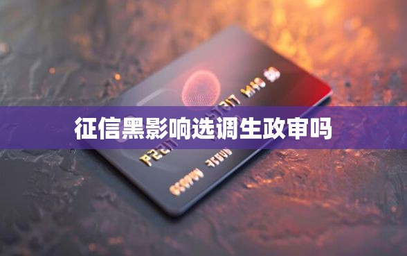 征信黑影响选调生政审吗