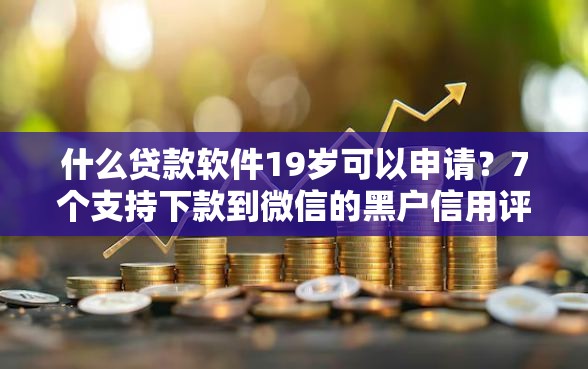 什么贷款软件19岁可以申请？7个支持下款到微信的黑户信用评分不足能下款的软件
