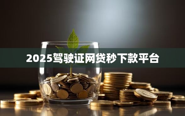 2025驾驶证网贷秒下款平台