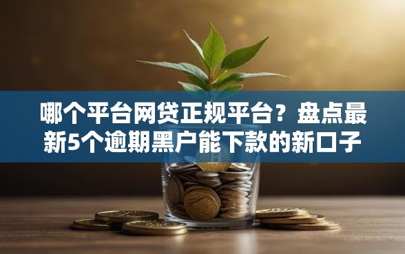 哪个平台网贷正规平台？盘点最新5个逾期黑户能下款的新口子