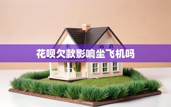 花呗欠款影响坐飞机吗