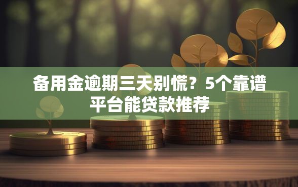 备用金逾期三天别慌？5个靠谱平台能贷款推荐