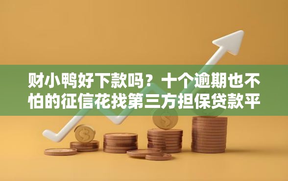 财小鸭好下款吗？十个逾期也不怕的征信花找第三方担保贷款平台