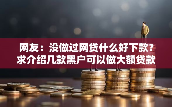 网友：没做过网贷什么好下款？求介绍几款黑户可以做大额贷款软件