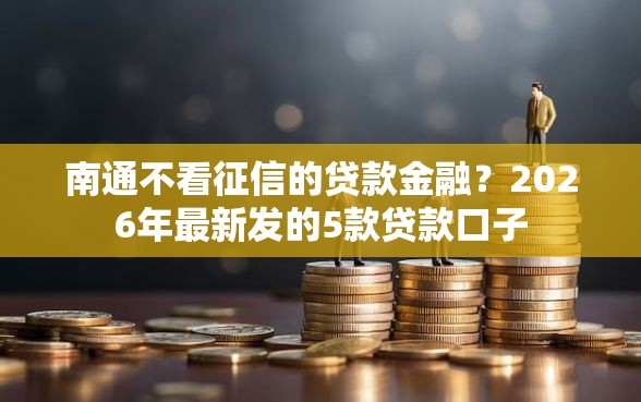 南通不看征信的贷款金融？2026年最新发的5款贷款口子