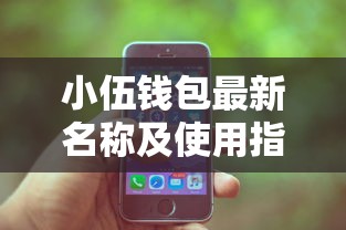 小伍钱包最新名称及使用指南
