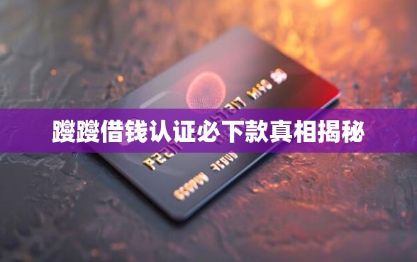 躞躞借钱认证必下款真相揭秘