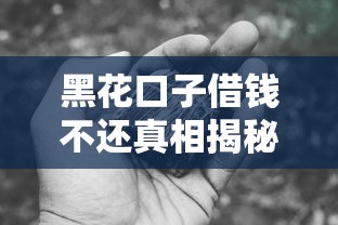 黑花口子借钱不还真相揭秘