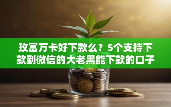 玫富万卡好下款么？5个支持下款到微信的大老黑能下款的口子