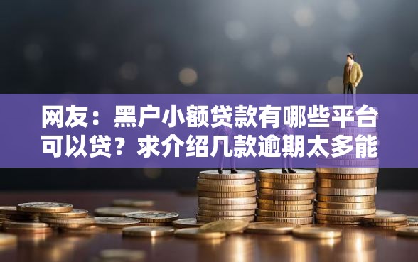 网友：黑户小额贷款有哪些平台可以贷？求介绍几款逾期太多能下款平台