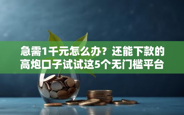 急需1千元怎么办？还能下款的高炮口子试试这5个无门槛平台