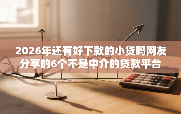 2026年还有好下款的小贷吗网友分享的6个不是中介的贷款平台我觉得不错！