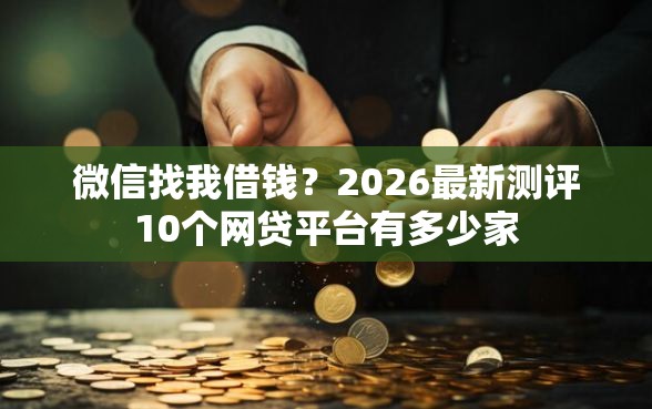 微信找我借钱？2026最新测评10个网贷平台有多少家