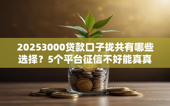 20253000贷款口子拢共有哪些选择？5个平台征信不好能真真正正借到钱详解