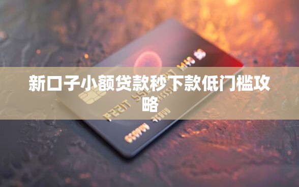 新口子小额贷款秒下款低门槛攻略