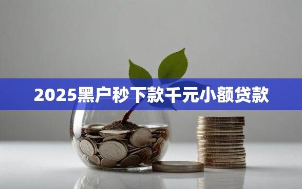 2025黑户秒下款千元小额贷款