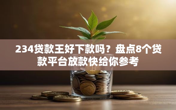 234贷款王好下款吗？盘点8个贷款平台放款快给你参考
