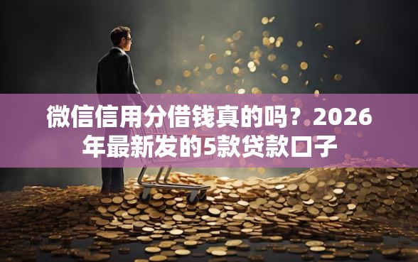 微信信用分借钱真的吗？2026年最新发的5款贷款口子