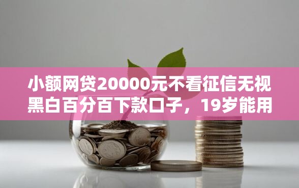 小额网贷20000元不看征信无视黑白百分百下款口子，19岁能用什么借钱的5个平台介绍