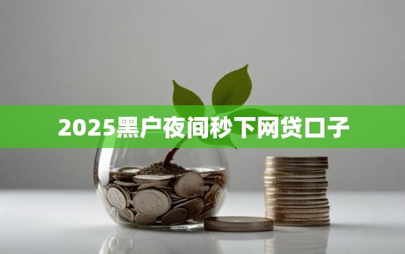 2025黑户夜间秒下网贷口子