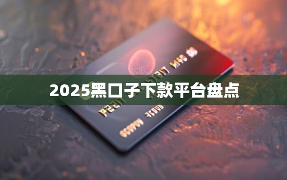 2025黑口子下款平台盘点