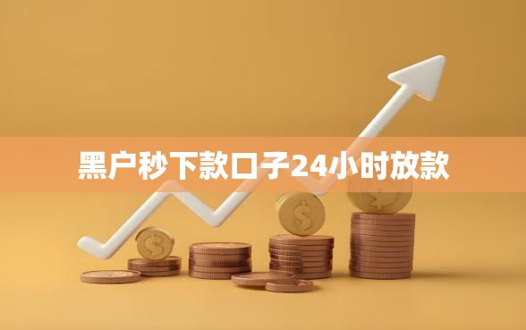 黑户秒下款口子24小时放款