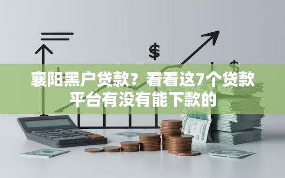 襄阳黑户贷款？看看这7个贷款平台有没有能下款的