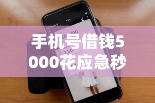 手机号借钱5000花应急秒到账