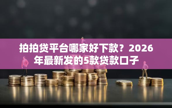 拍拍贷平台哪家好下款？2026年最新发的5款贷款口子