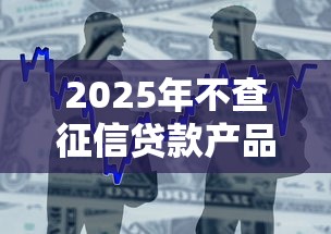2025年不查征信贷款产品推荐