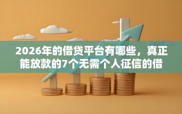 2026年的借贷平台有哪些，真正能放款的7个无需个人征信的借款平台推荐