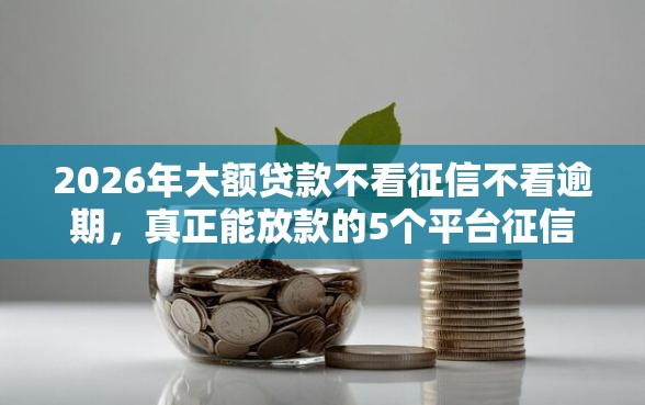 2026年大额贷款不看征信不看逾期，真正能放款的5个平台征信花可以下款推荐