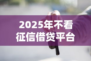 2025年不看征信借贷平台精选