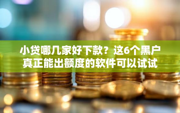 小贷哪几家好下款？这6个黑户真正能出额度的软件可以试试