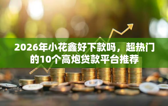 2026年小花鑫好下款吗，超热门的10个高炮贷款平台推荐