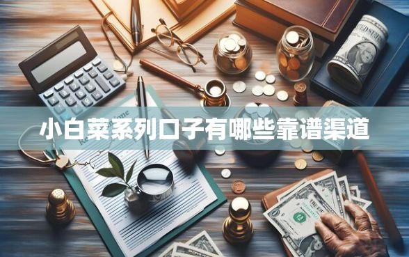 小白菜系列口子有哪些靠谱渠道