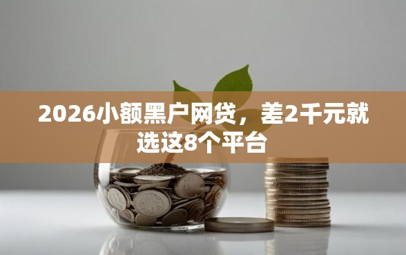2026小额黑户网贷，差2千元就选这8个平台