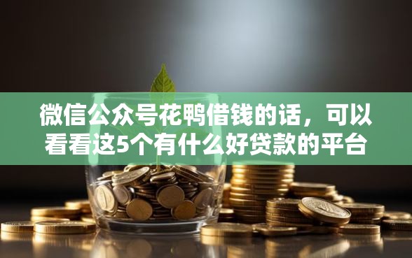 微信公众号花鸭借钱的话，可以看看这5个有什么好贷款的平台
